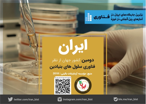 رتبه های ایران 6